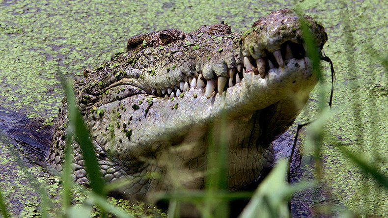 ‘Charmed’ crocodile returns corpse to villagers in chilling footage (GRAPHIC  VIDEO)