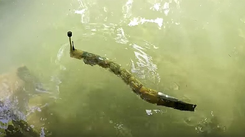 Freaky robotic eel to pinpoint poisonous metals in rivers & lakes (VIDEO)