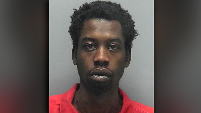 Florida man stabs dog to death ‘because it always took girlfriend’s side’ – reports