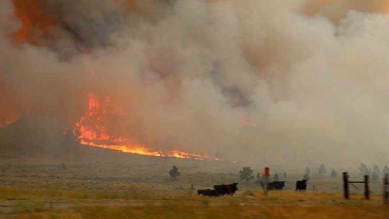Largest active US wildfire burns 250k acres in Montana