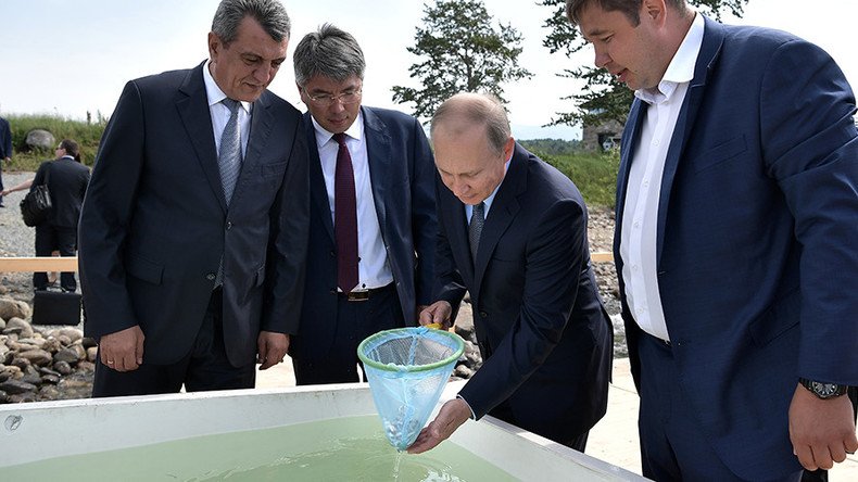 Putin ignores wet shoes warning to release batch of endangered fish into Lake Baikal (VIDEO)