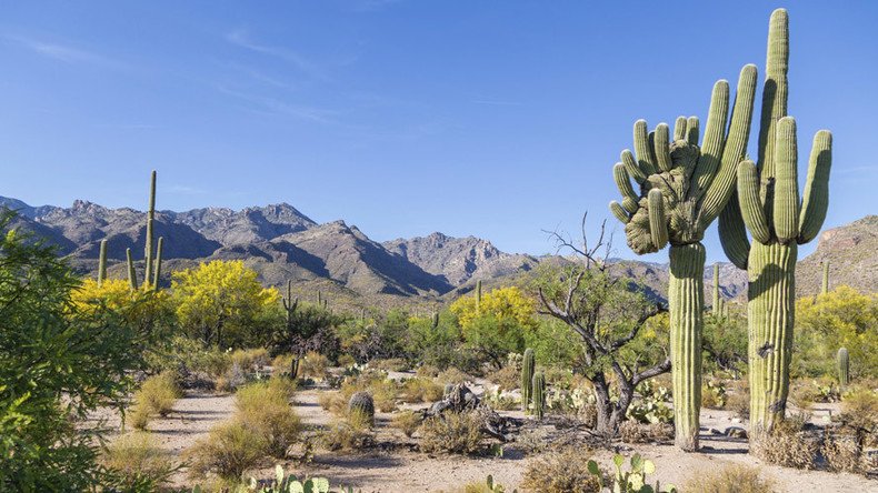 Man survives on urine, beer & crackers for 2 days in Arizona desert (PHOTOS)