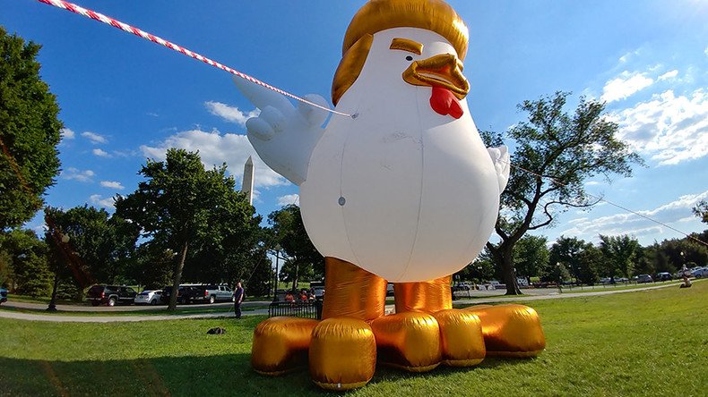 Giant, inflatable ‘Trump chicken’ roosts behind White House