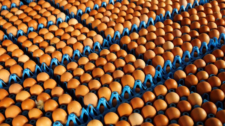 700,000 pesticide-contaminated eggs imported into UK – authorities