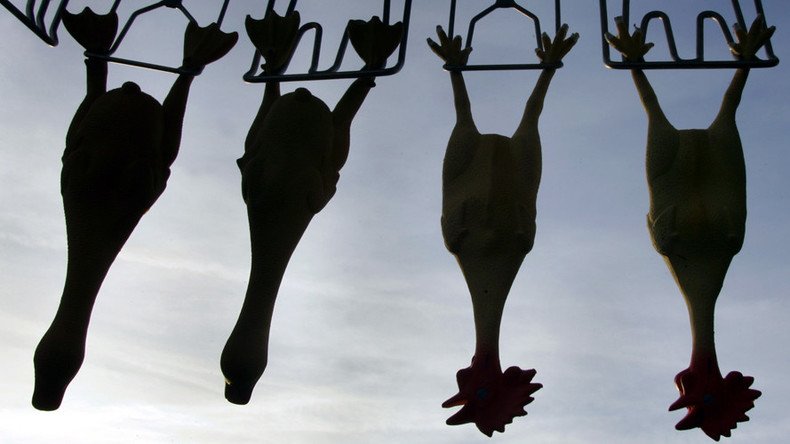 Turkey terror: 3,000 birds scared to death at fowl farm