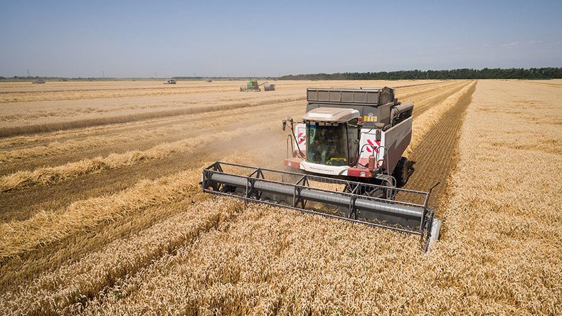 Bumper grain crop in Russia set to break Soviet-era record