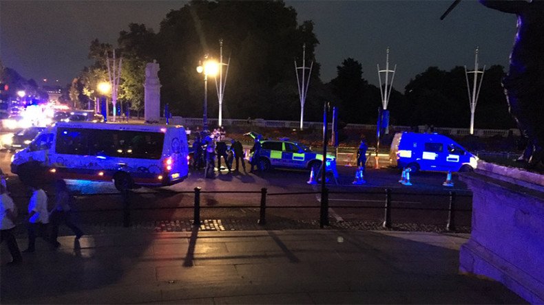 Knifeman detained in suspected terrorist attack near Buckingham Palace, 2 officers hurt