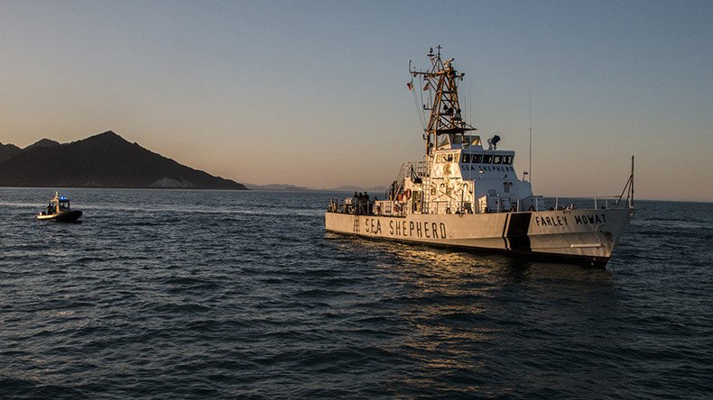 Sea Shepherd blames Japan’s satellite surveillance tech for halting anti-whaling mission