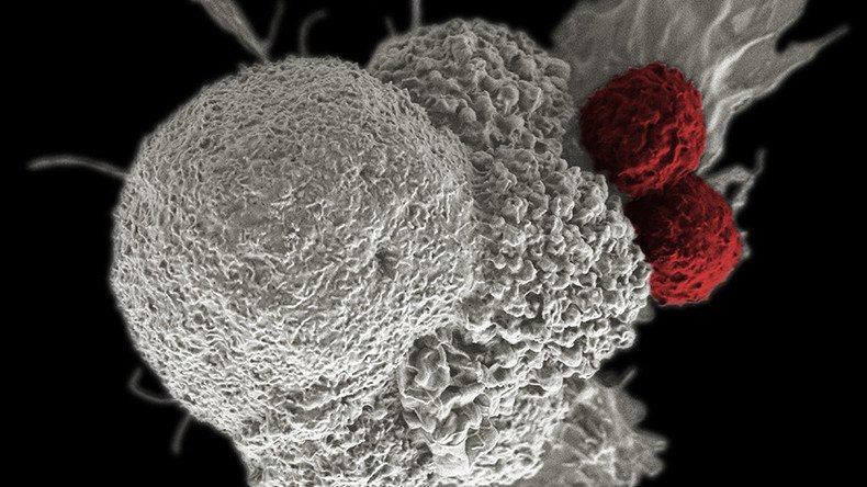 FDA approves 1st ‘living drug’ to treat cancer in the US 