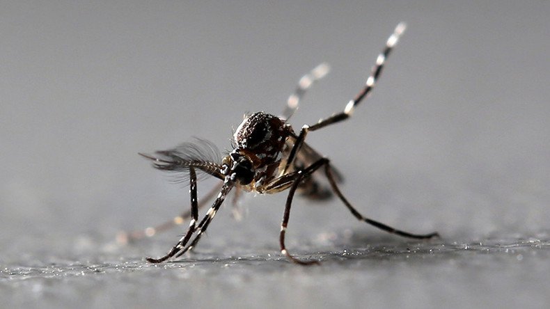 Twitter bites back: Mosquito killer banned for posting bloody death pic
