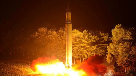 Kiev in immediate denial of reports that N. Korea used Ukrainian engines for missile 'success'