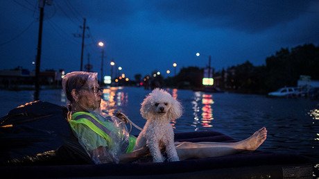 Not just humans: How animals weather Texas storm & flooding (PHOTOS, VIDEOS)