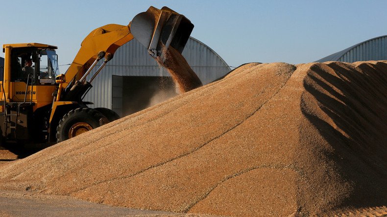 Russia to boost wheat exports on expectations of record harvest