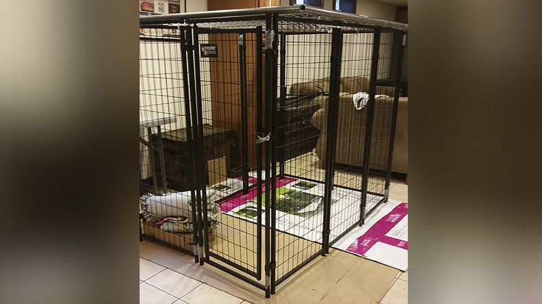 Two charged with abuse of 9yo girl trapped in dog cage (PHOTOS)