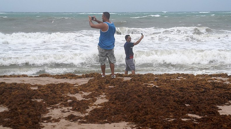 ‘Don’t shoot at Hurricane Irma’: Cops forced to issue warning after idea goes viral