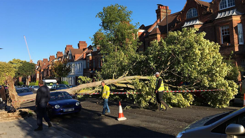 #Wewillrebuild: Britons unleash hurricane humour, as Storm Aileen rips through UK