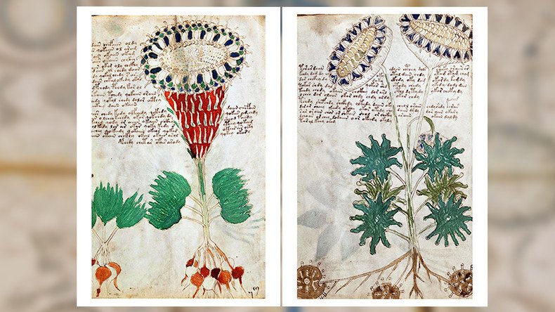 Cryptic Voynich manuscript may actually be guide for medieval women’s health