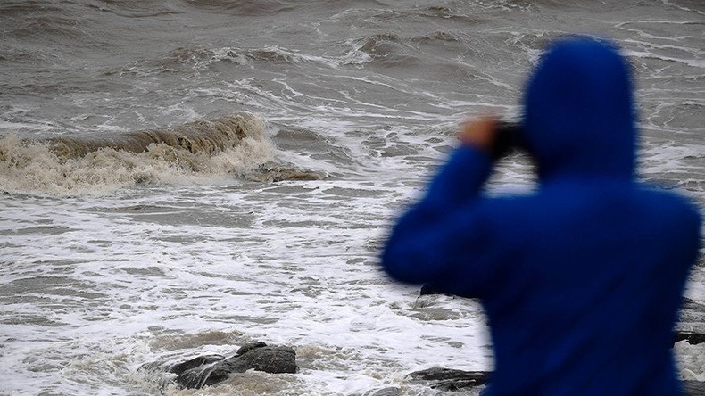 Monster from the deep: Mysterious & creepy fanged sea creature washes up in Texas (PHOTOS)