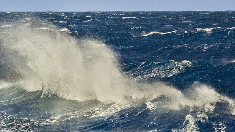 Mysterious Hurricane Harvey ‘sea monster’ finally identified (PHOTOS)