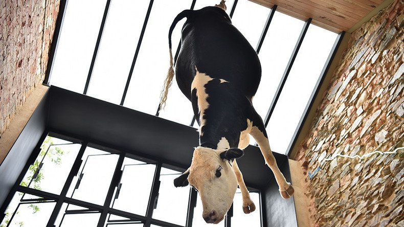 Dead cow hanging from ceiling draws outrage at Aussie pizzeria