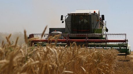 Putin wants Russia to become world's biggest exporter of Non-GMO food 