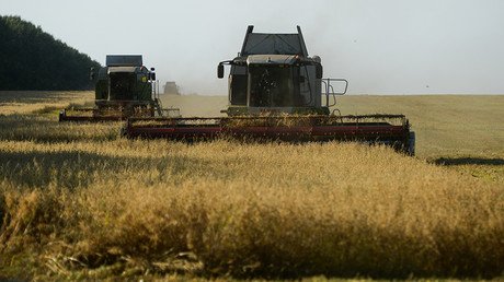 Russian grain exports near record of 50mn tons
