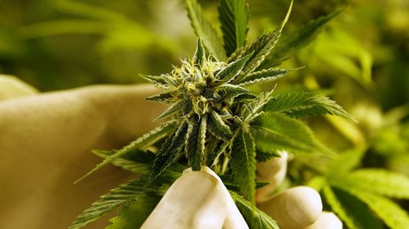 Legal US marijuana sales up 30% in 2017 – report