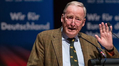 ‘Nothing to fear’: Сo-founder of German right-wing AfD tells Jews