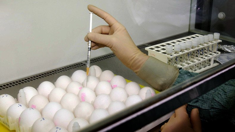 Genetically-modified chicken sperm key to creating cancer-fighting eggs