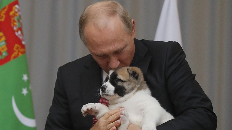 All the president’s pets: Putin household celebrates new arrival (VIDEOS)