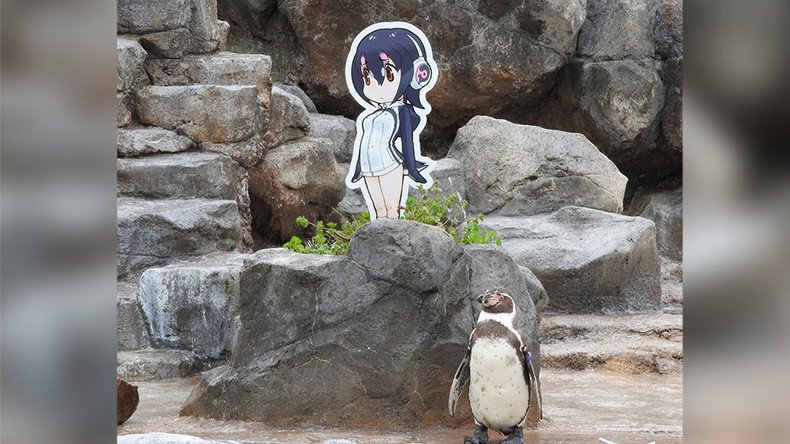 Elderly Penguin dies next to beloved anime cardboard cutout in Japanese zoo  (IMAGES) — RT World News