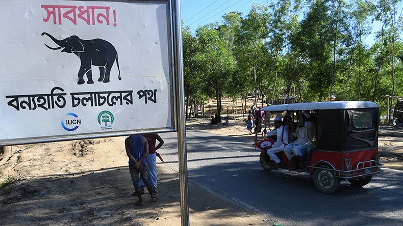 Rohingya refugees trampled to death by wild elephants in Bangladesh (PHOTO)