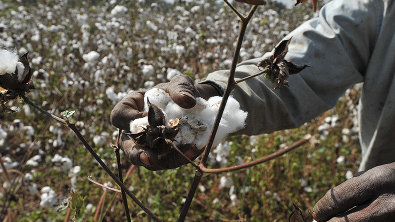 ‘Racist’ cotton-picking song sparks outrage at Ohio middle school