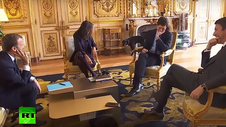 Palace leak? Macron's dog crashes cabinet media stunt by peeing on gilded fireplace at Elysee