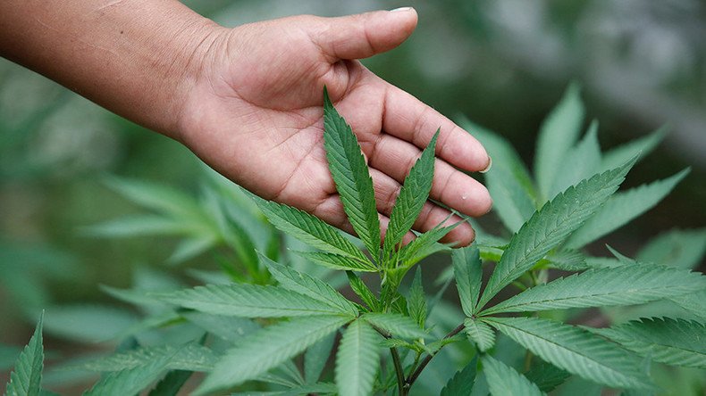 Marijuana smokers have more sex, researchers discover