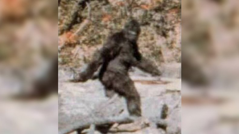 Bigfoot hunter suing local government for right to prove beast’s existence (VIDEOS, POLL)