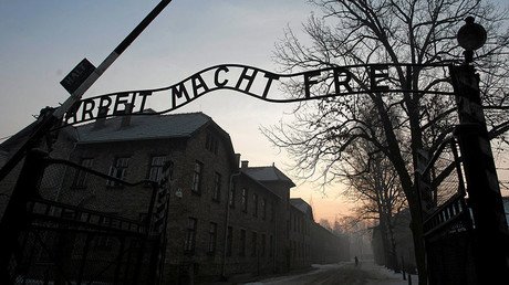 Nude protest & sheep slaughter at Auschwitz death camp now end in prison sentence for artists