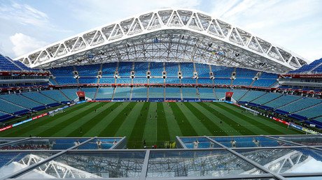 Sochi’s Fisht stadium fully ready for World Cup – governor