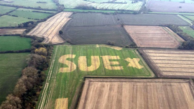 Giant name on a field sends police on search for mystery woman (PHOTOS)