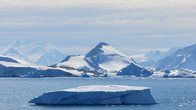 Prehistoric Antarctica forest fossils offer scientists ‘glimpse of life before the extinction’