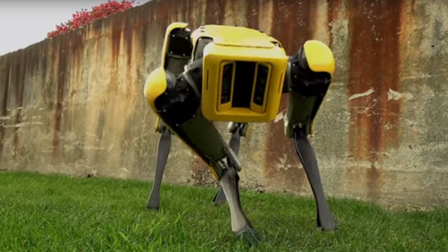 Next generation ‘robot dog’ moves just like real life pooch (VIDEO)