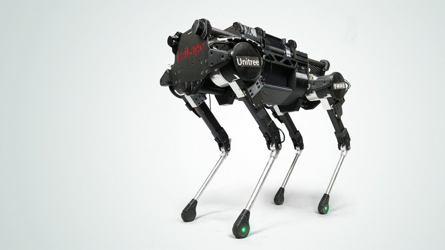 Pet project: Chinese RoboDogs on sale & ready to run on grass with you (VIDEO)