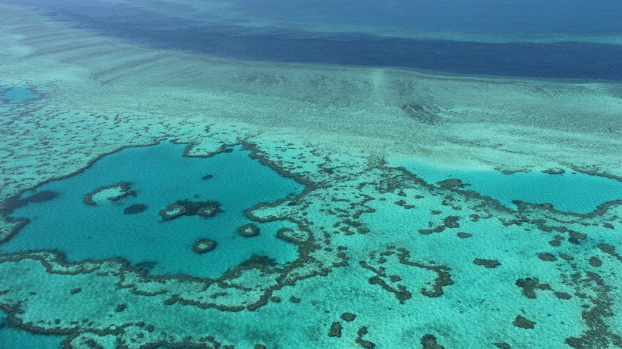 Great Barrier Reef ‘rebirth’ underway as scientists implant new baby coral (PHOTOS, VIDEOS)