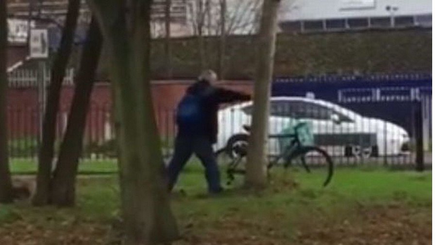 Man vs tree: Poor sap tries to settle score with leafy foe in Leicester (VIDEO)