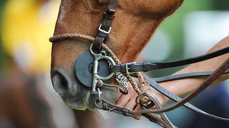 Caught in the act: Man has sex with pony at Berlin children’s zoo