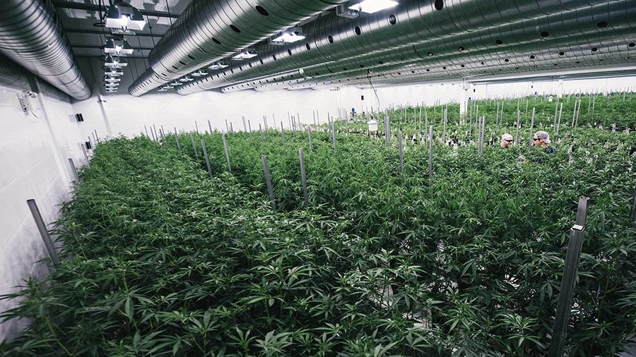 High rollers: Big business invests $2.7bn in cannabis in 2017 – 3 times more than last year