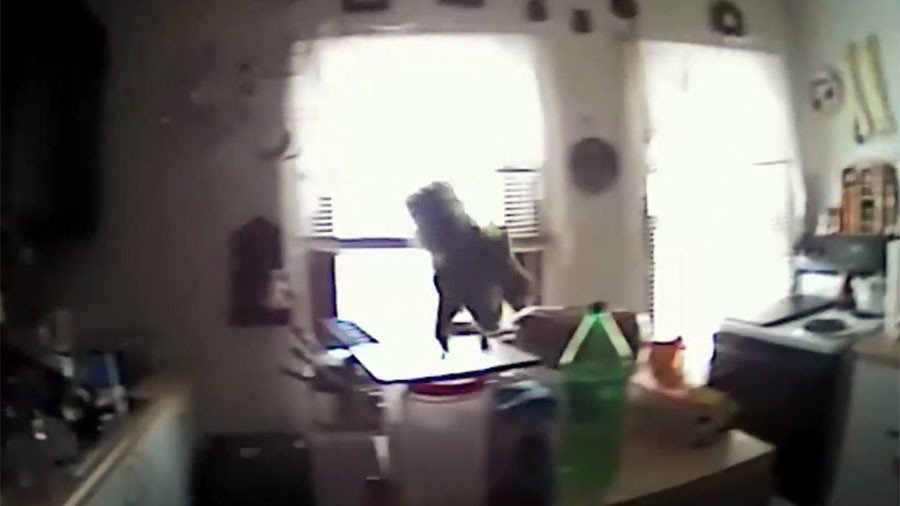 NY police release bodycam footage of vicious assault on 2 officers… by squirrel (VIDEO)