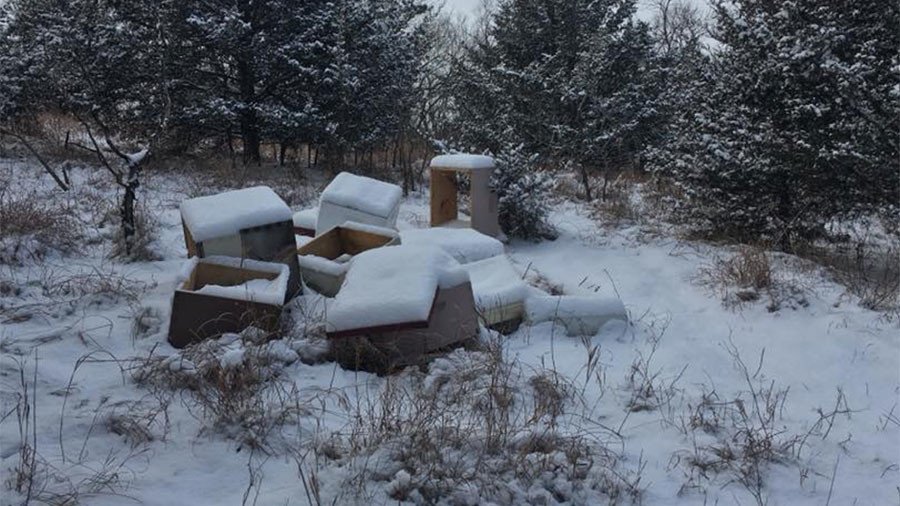 Bee-pocalypse: Vandals destroy beehives in Iowa, kill nearly half a million bees