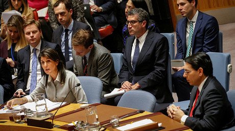 The talented Ms. Haley: UN envoy sets bar for US diplomacy dangerously low