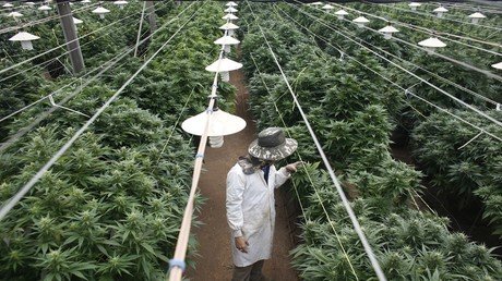 Weed war: Sessions announces marijuana crackdown